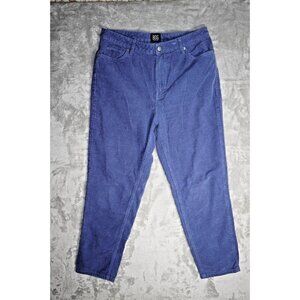 BDG Urban Outfitters Womens Pants 30 Mom High Rise Navy Corduroy